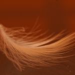 ethereal feather